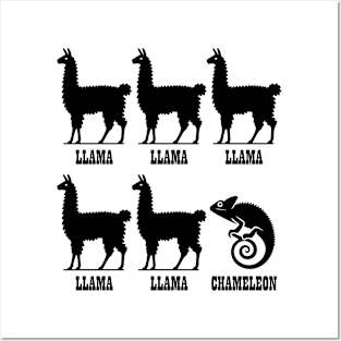 Llama Llama Llama Llama Llama Chameleon (Black) Posters and Art